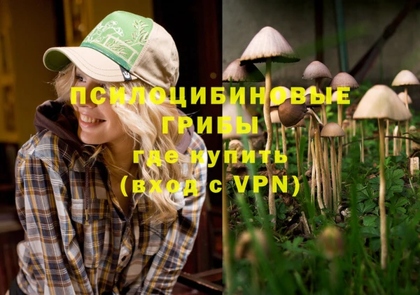 хмурый Иннополис