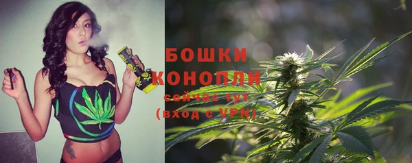 амф Инсар