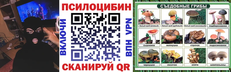 Галлюциногенные грибы прущие грибы  Купить  Гусиноозёрск 